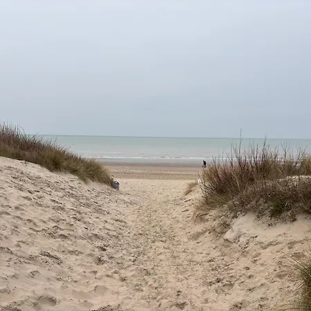 Zeezicht Amadeus * De Panne