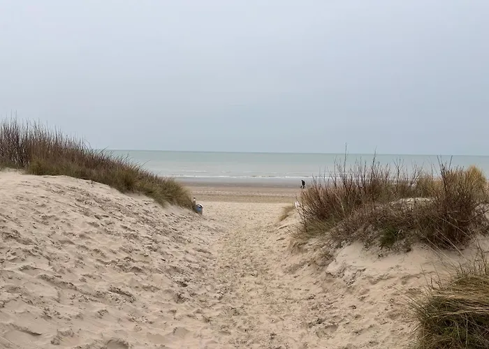 Zeezicht Amadeus * De Panne